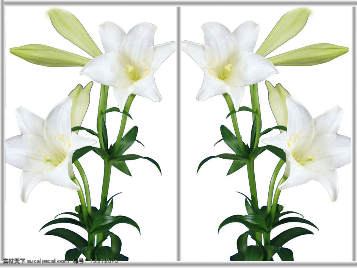 百合花 花素材 花纹 浪漫主义 两门图 前卫时尚 热门行业 现代简约 移门图 移门图片 双门图 多门图 优雅一族 装饰素材