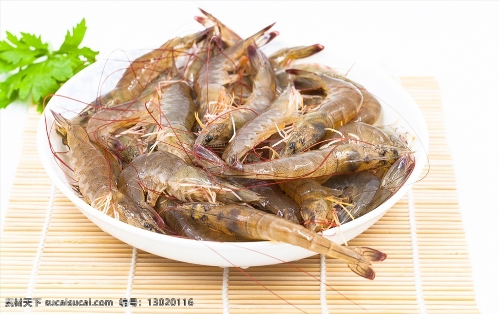 基围虾 刀额新对虾 泥虾 麻虾 花虎虾 虎虾 砂虾 红爪虾 卢虾 新鲜基围虾 活基围虾 活虾 食物 食材 餐饮美食 食物原料 食物原料01
