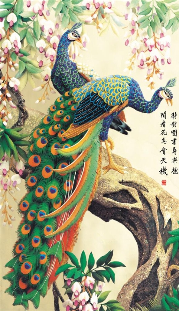 富贵 花开 孔雀 花卉 富贵花开 手绘孔雀 工笔画 花鸟 孔雀花卉 两只孔雀 蓝色孔雀 中式古典 分层
