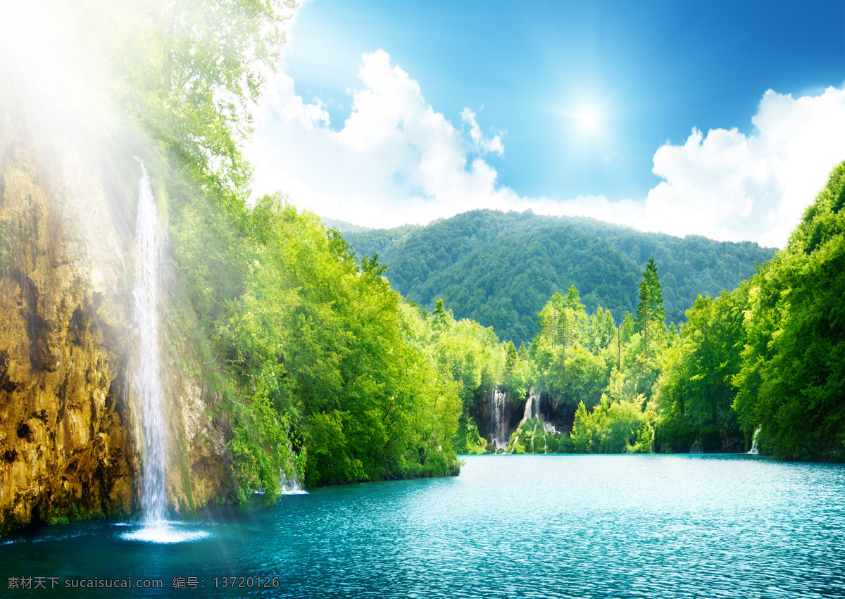 森林 草地 森林景观 树 阳光 瀑布景观 壁纸 花朵 风景 自然山水 花 自然景观 树木 自然风景