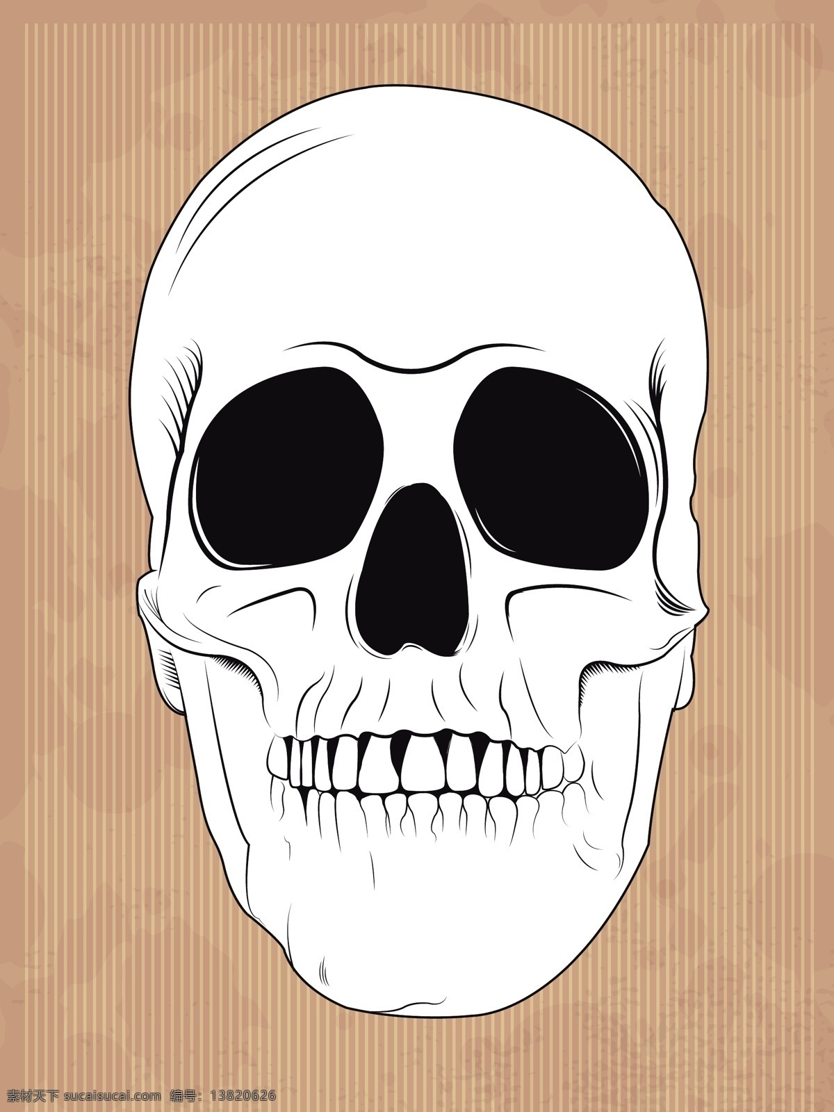 手绘的颅骨 手 万圣节 头骨 手画 人 黑 牙齿 头 插图 骨 恐怖 骨骼 死亡 解剖 得出 可怕 垂直 下巴 白色
