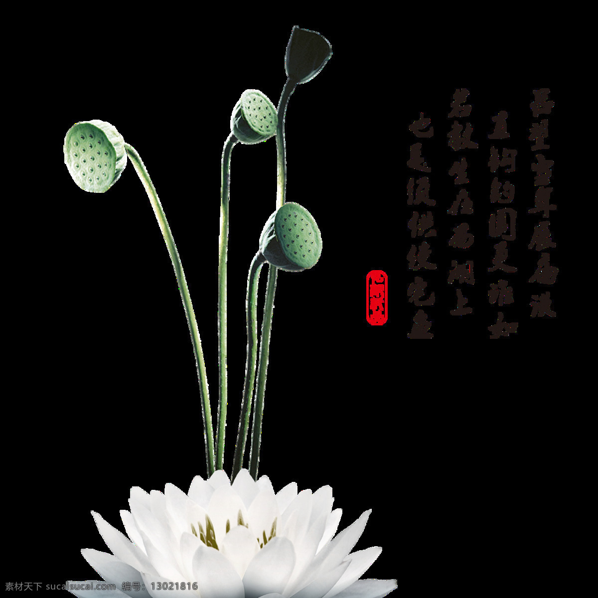 彩绘 清明 白莲花 元素 莲花 莲蓬 传统节日 杏花村 清明书法 清明素材 清明元素 元素设计 缅怀先人 扫墓 清明图案 清明元素设计