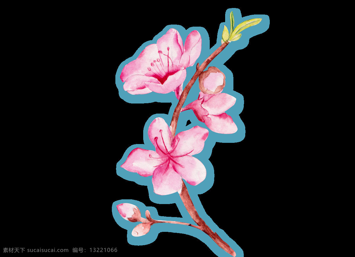 卡通 桃花 元素 春天 粉色 清新 透明元素 png元素 免抠元素
