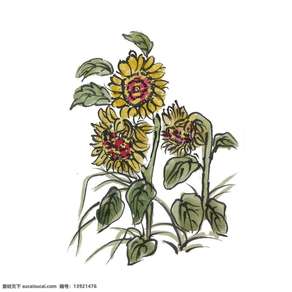 向阳花 夏天 手绘 插画 夏季 向日葵 水果 中国风 古风 水墨风 墨迹 彩色 春天 生动 花草 国风 水墨 国画