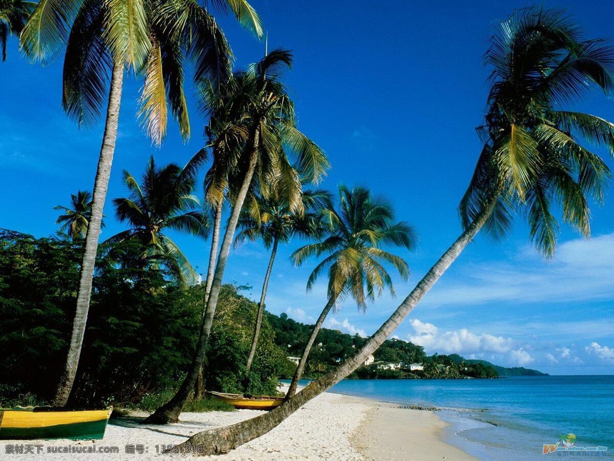 国外旅游 海边 海滩 海洋 蓝色 蓝天 旅游摄影 马尔代夫 椰树 小船 椰子 热带风景 psd源文件