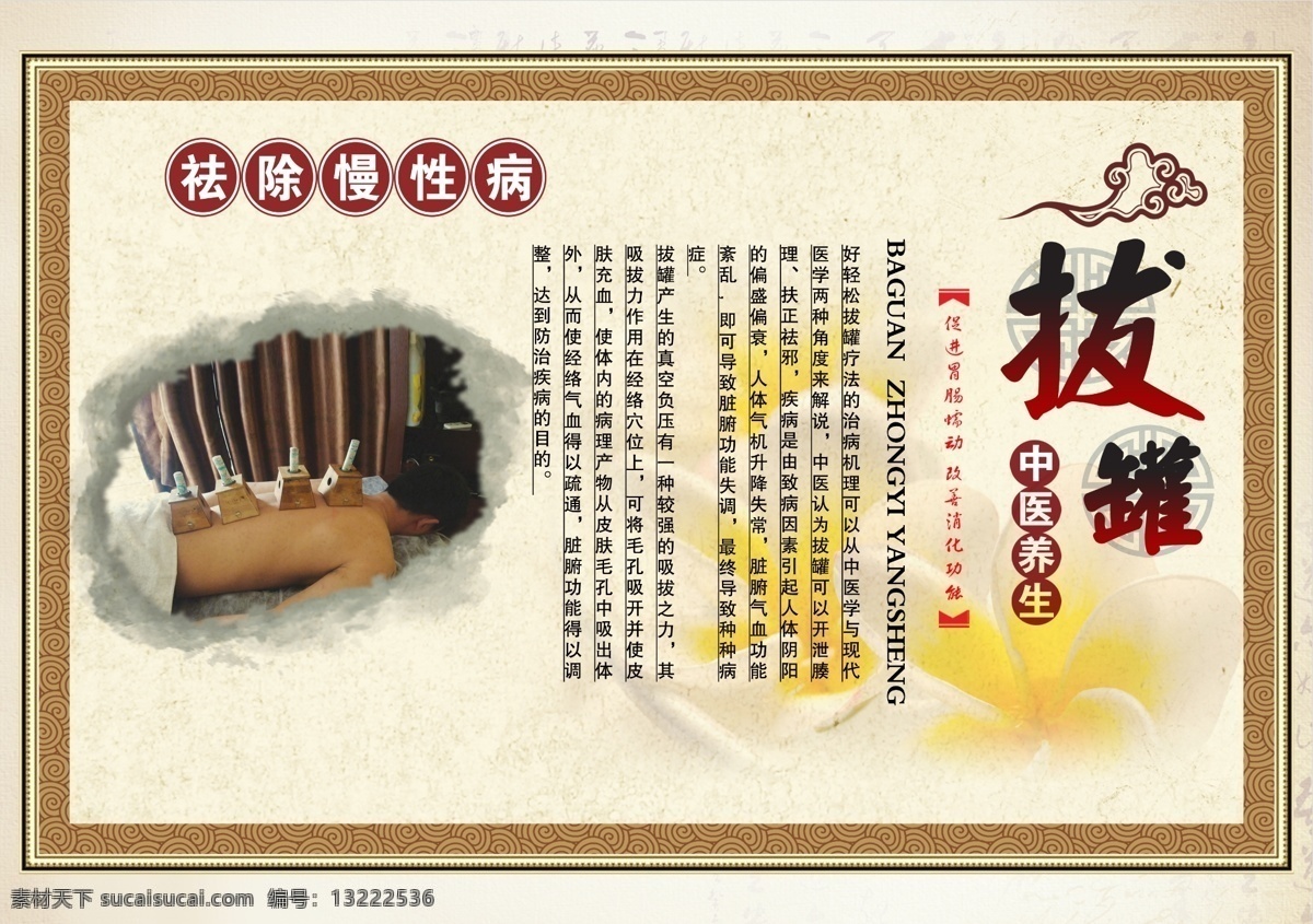 中医拔罐 中医 中药 医疗 保健 拔罐 医学 健身会所挂图