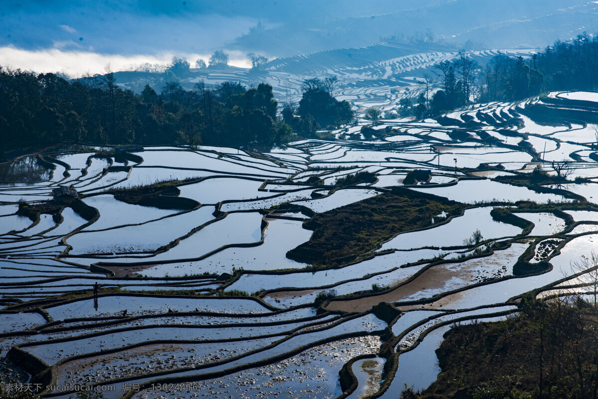 元阳 梯田 风景摄影 云南 高清 原图 风景 绿色 春天 植物