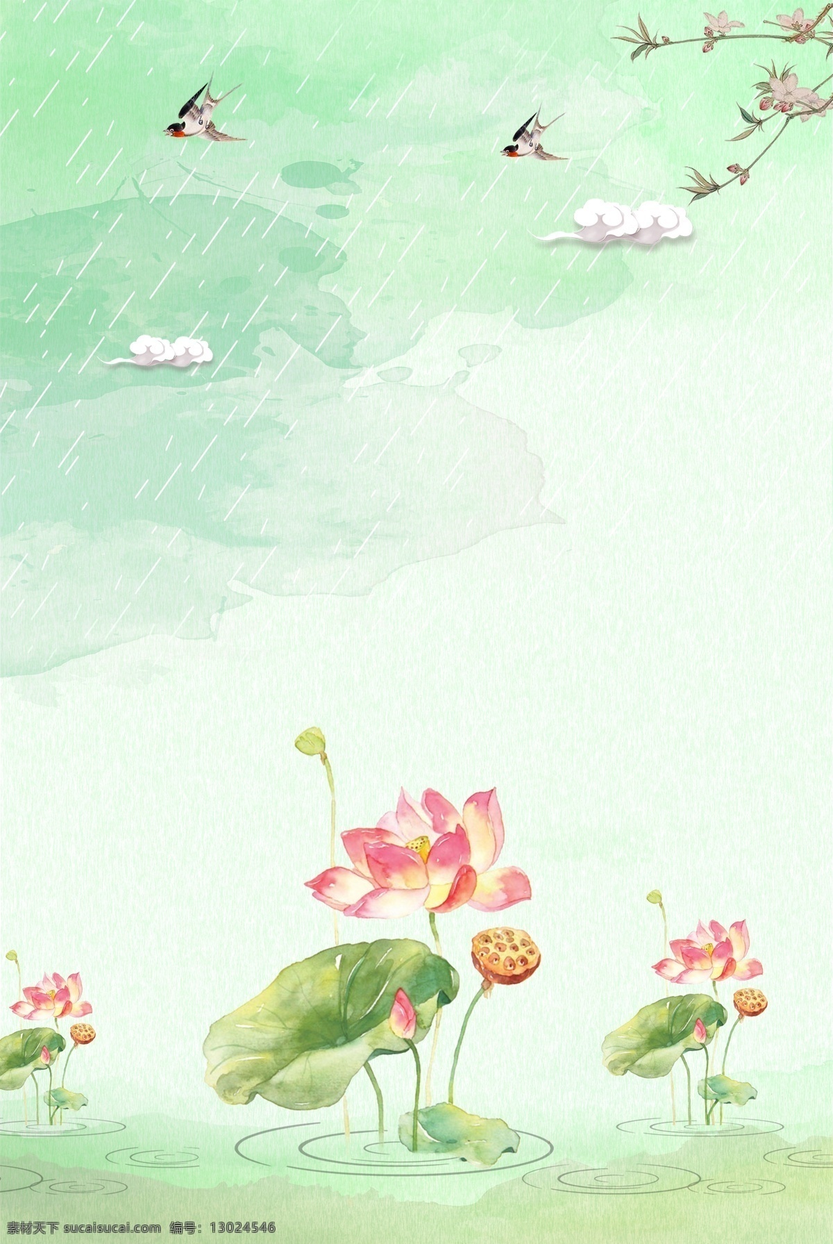 简单 小雨 知 时节 背景 立夏 二十四节气 24节气 传统立夏 立夏节气 夏天 夏季 荷花 初夏 荷叶