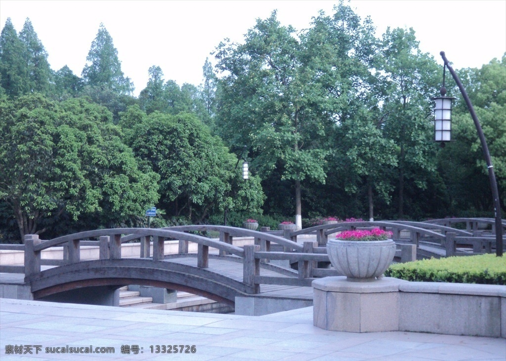 杭州花圃 风景 杭州 花圃 松树 石桥 建筑园林 园林建筑