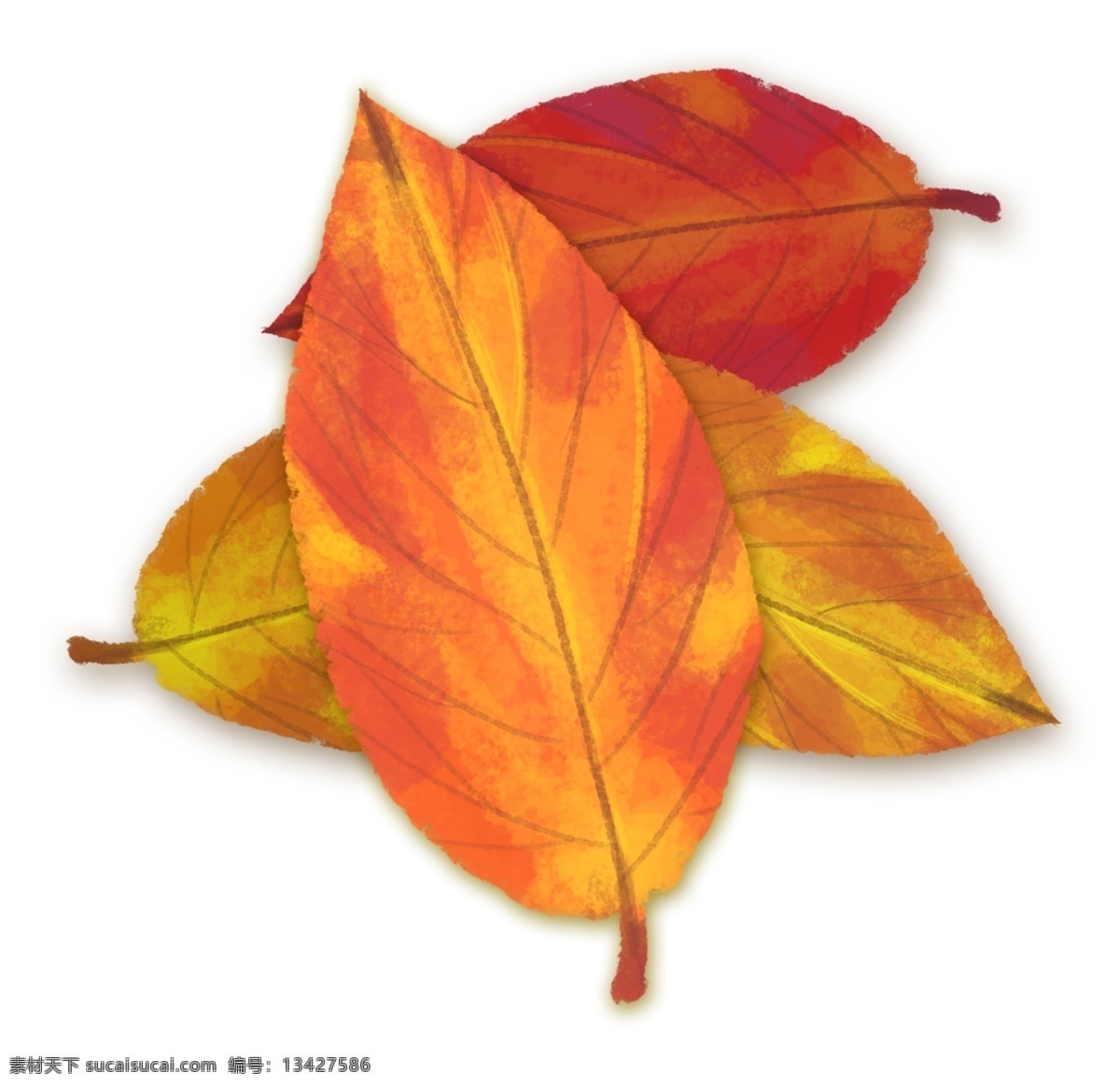 秋季 秋天 树叶 手绘 通用 小 清新 文艺 插画 中国风 水彩 小清新 秋天的叶子 黄叶 秋叶 各种