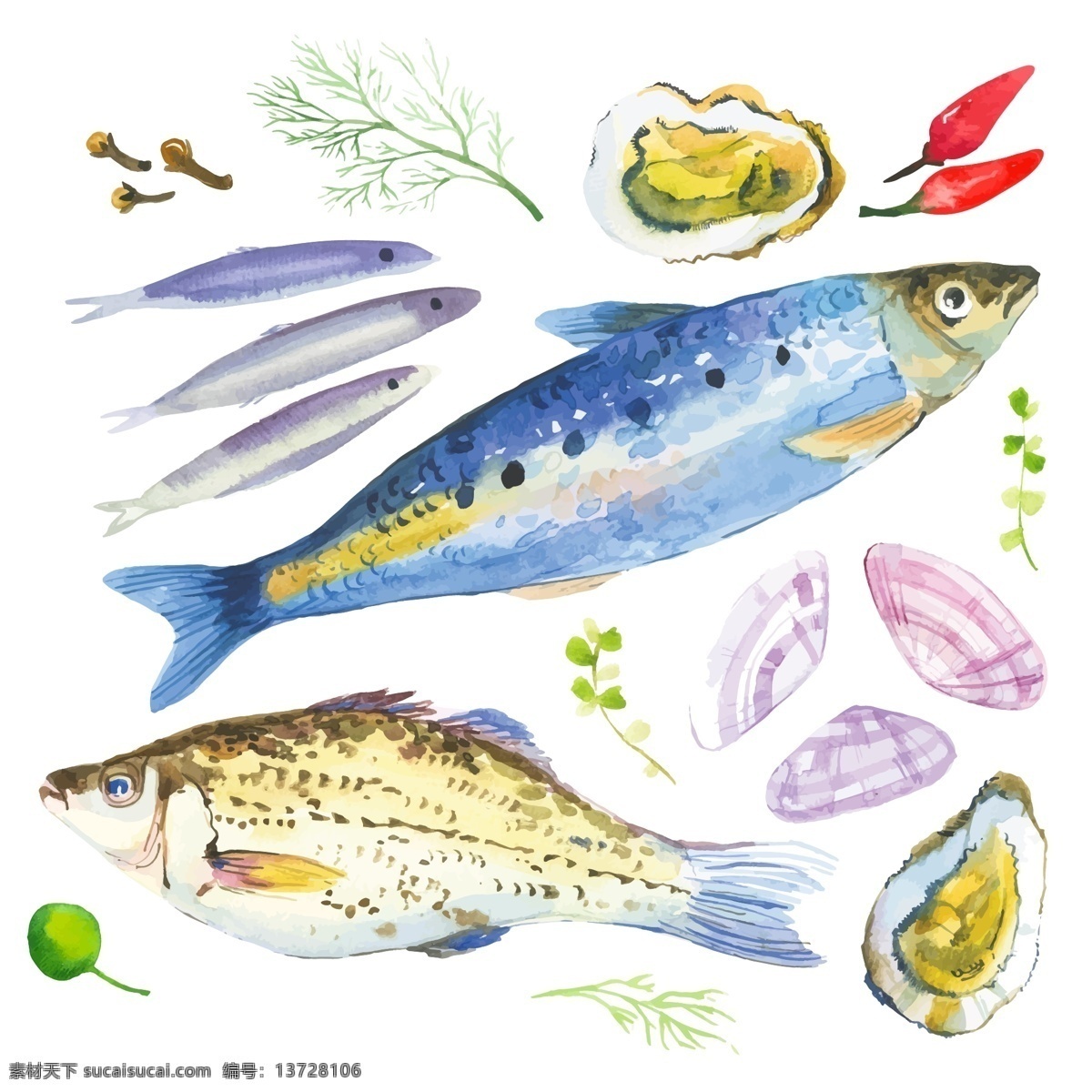清新 水彩 绘 海鲜 食 材 插画 食材 水彩绘 手绘 昌鱼 秋刀鱼 生耗