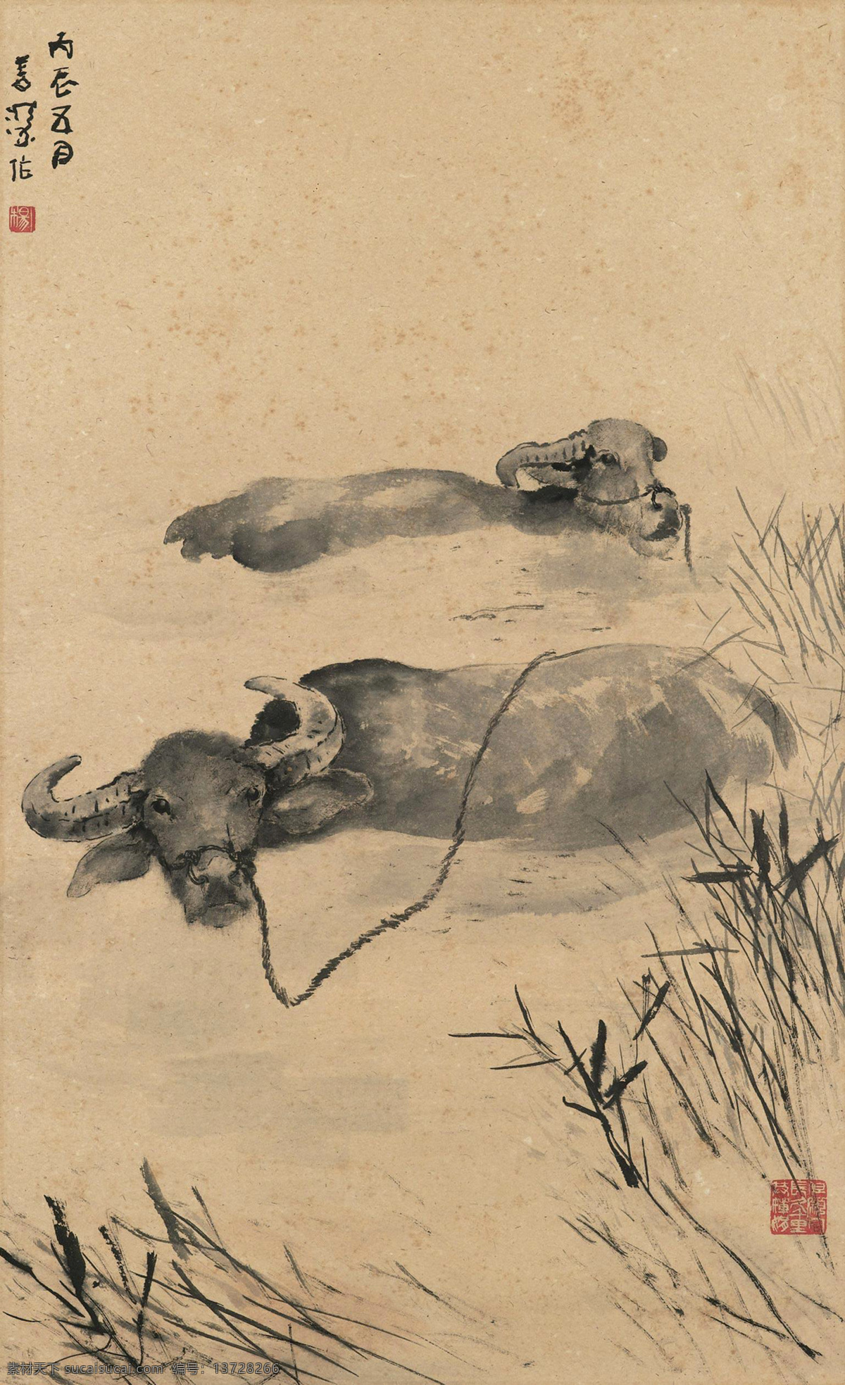 水牛 国画 杨善深 浴牛 老牛 牧牛 绘画书法 文化艺术