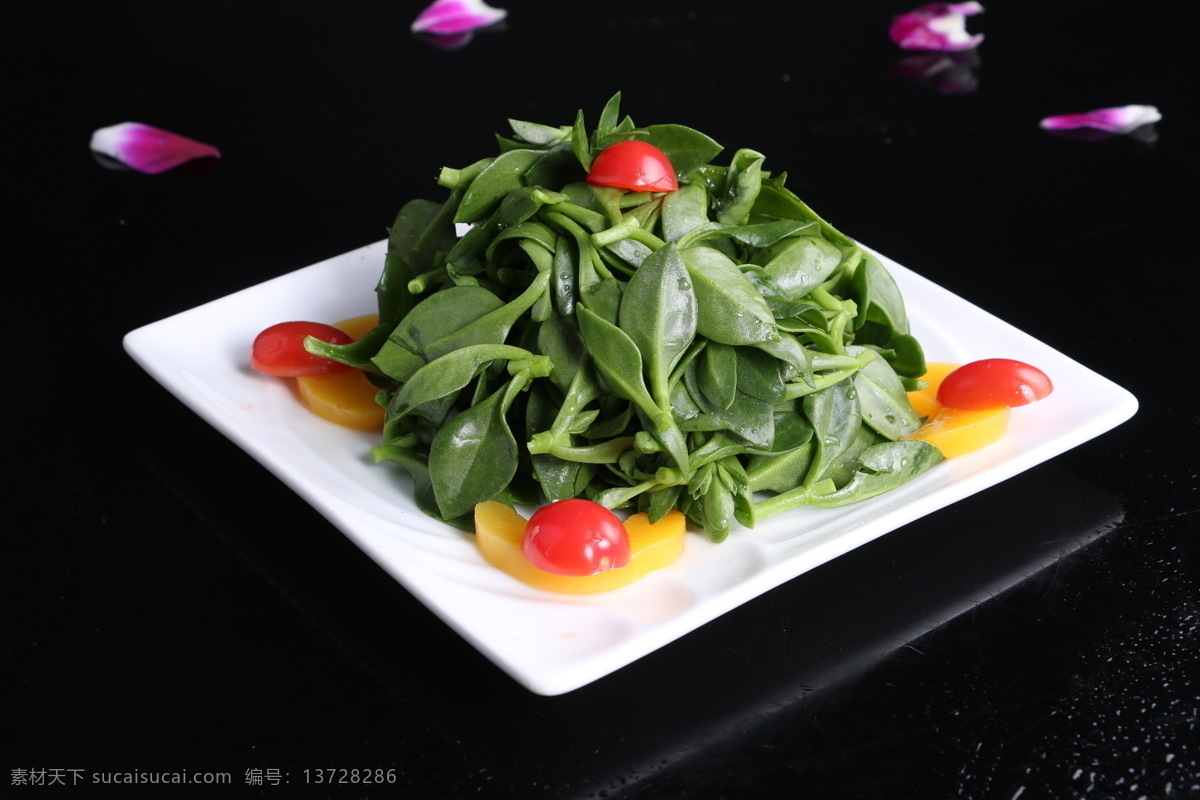 穿心莲 凉拌穿心莲 糖醋穿心莲 炝拌穿心莲 春莲秋柳 榄核莲 苦胆草 金香草 金耳钩 苦草 餐饮美食 传统美食