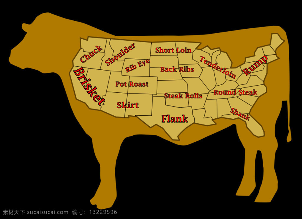 主要 削减 地图 美国 牛 牛肉 肉 食品 图 颜色 屠夫 我是怎么做的 接头 概述 讽刺的 状态 插画集
