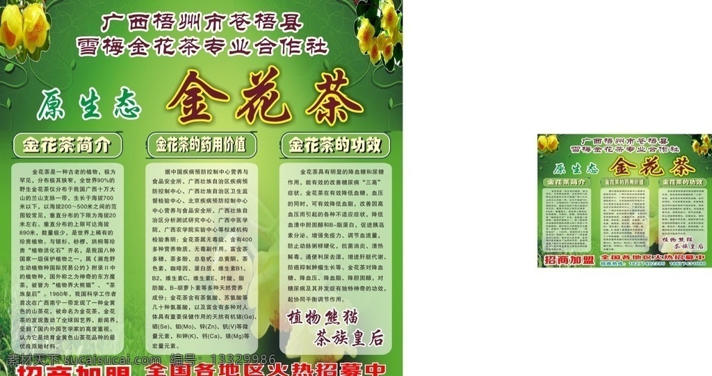 金花茶 金花茶广告 广告 金花茶名片 金花茶功效 招牌 传单广告