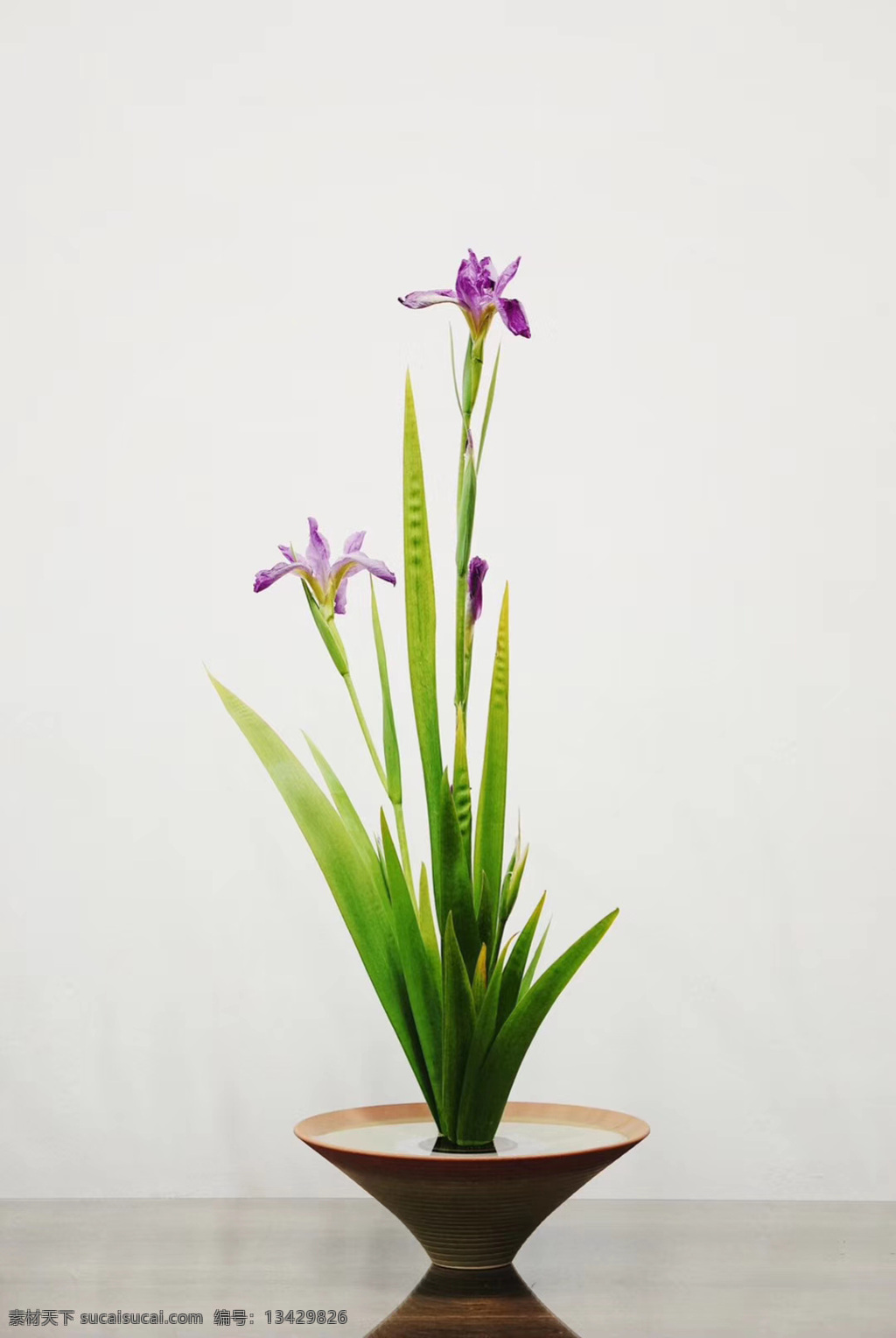 盆栽 盆子 水仙花 静物特写 拍摄