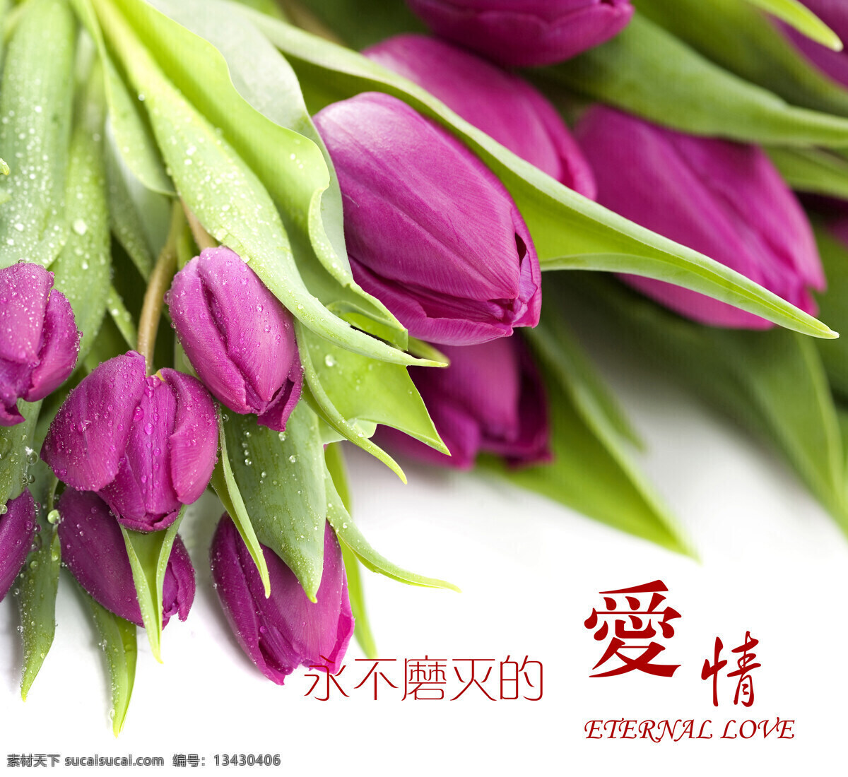 衣柜 强化 玻璃 移门 爱情 百合 百合花 花 家居装饰素材