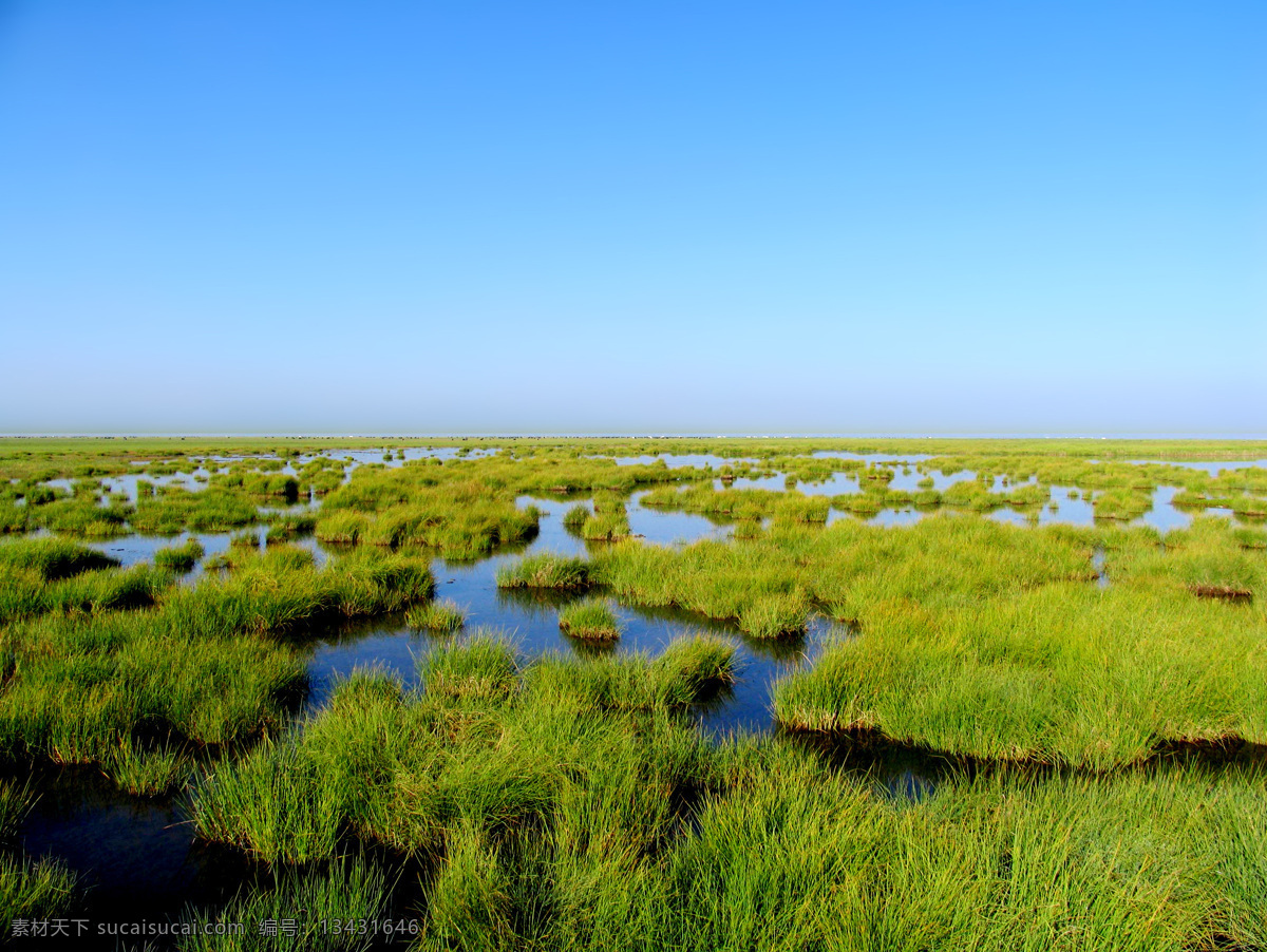 湿地公园 湿地 弹涂 公园 高原 草地 湖水 沼泽 生态 自然 生态公园 自然景观 自然风景