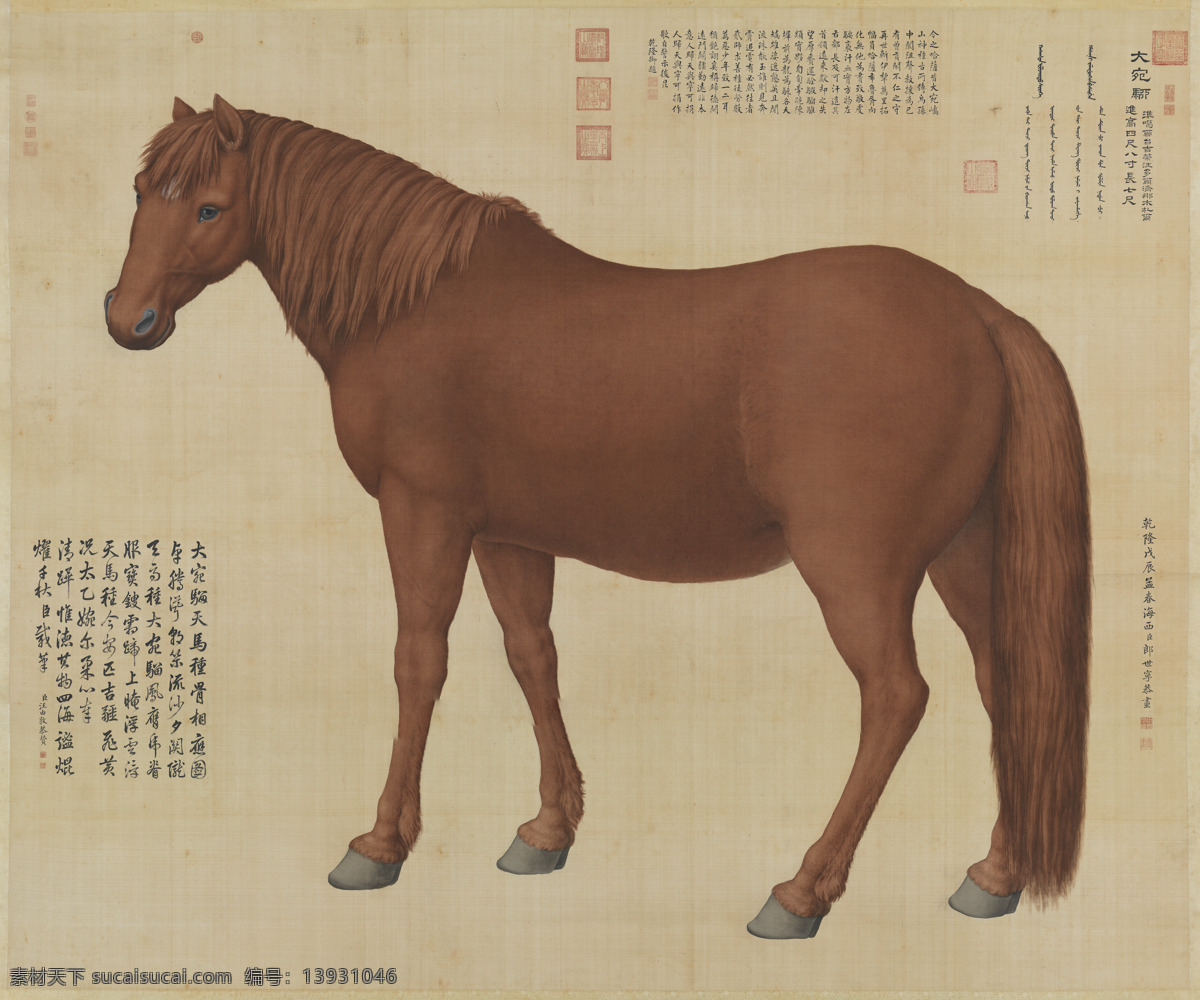 十 骏 图 大宛 骝 郎世宁 清朝 乾隆 国画 骏马 文化艺术 传统文化
