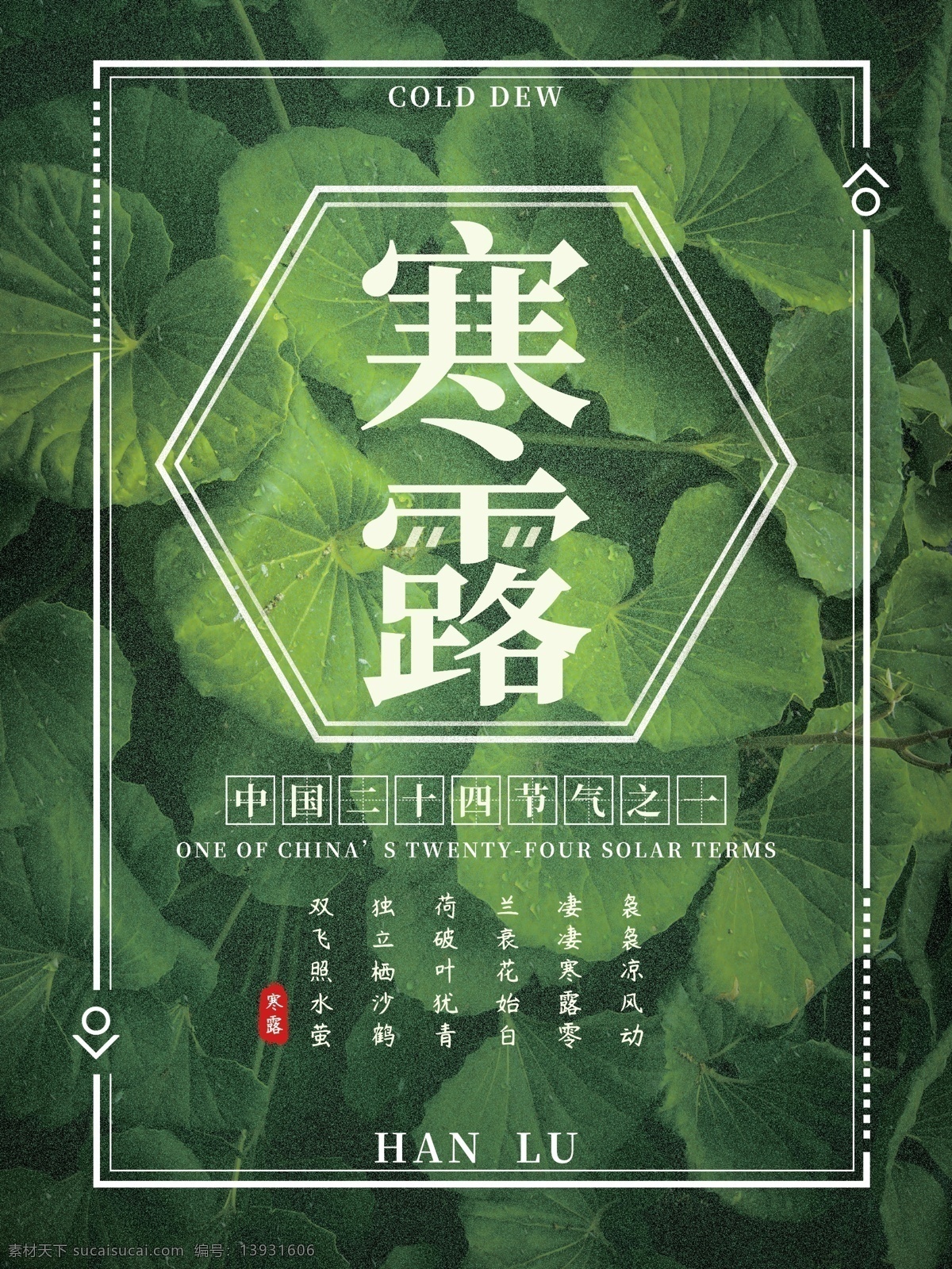 绿色 清新 中国 二十四节气 寒露 节气 霜寒