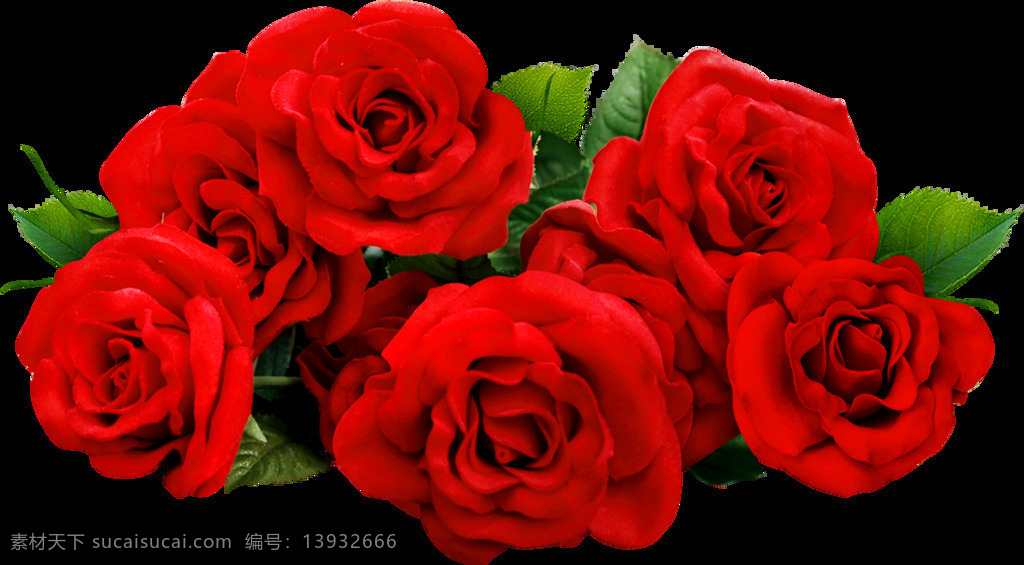 玫瑰花 玫瑰 红色 红玫瑰 七夕 情人 情人节 520 爱情 情侣 浪漫 鲜花