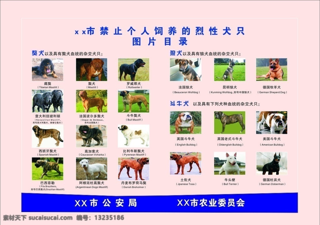 禁止 饲养 狗 类 目录 模板 各类犬类图片 烈性犬 獒犬 狼犬 斗牛犬 cdr9 矢量