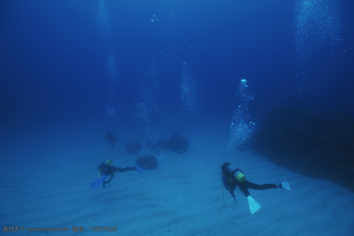 海底 世界 游泳 潜水员 共享 大海 海底世界