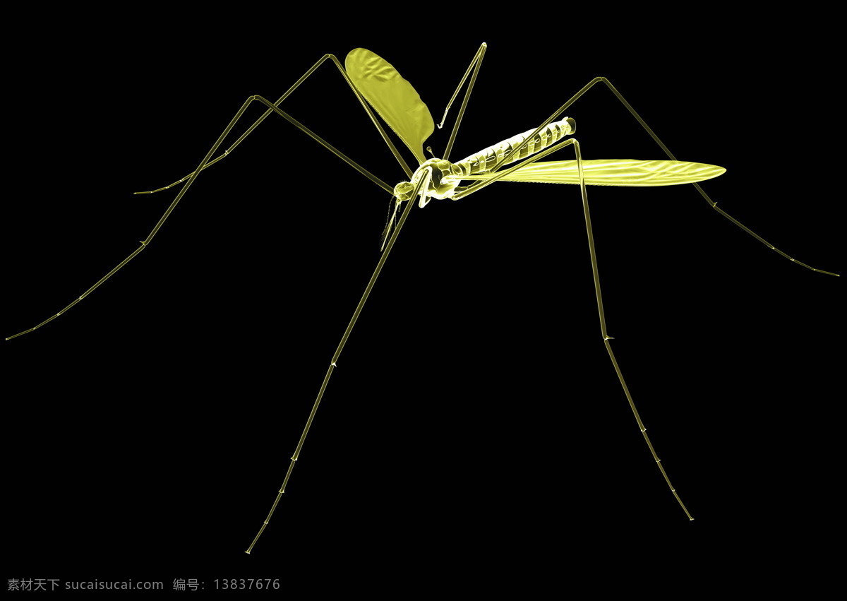 飞机免费下载 x光 x光片 x光透视 飞机 x光世界 现代科技