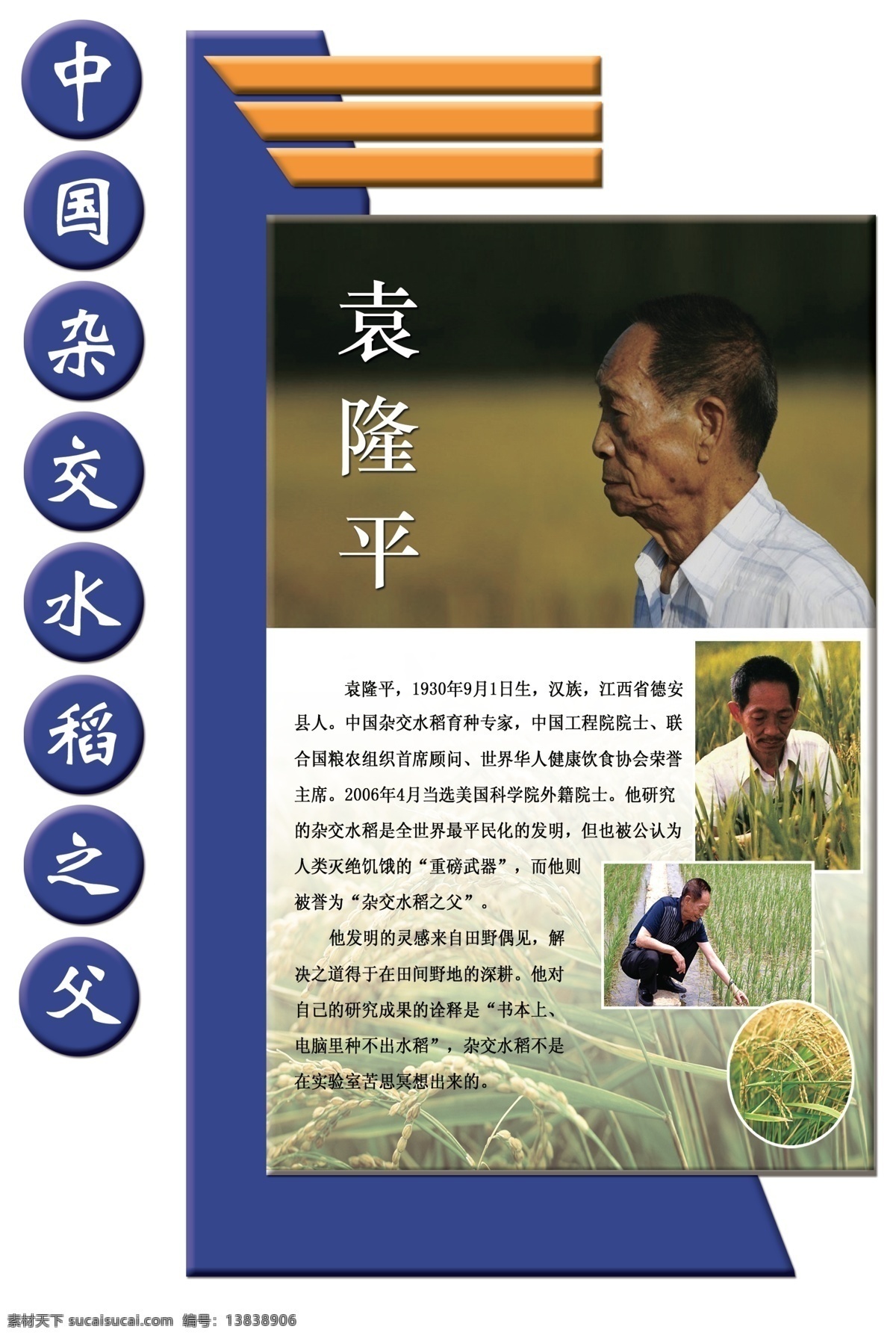 校园文化 名人名言 袁隆平 中国之父 浮雕 展板 展板模板 广告设计模板 源文件