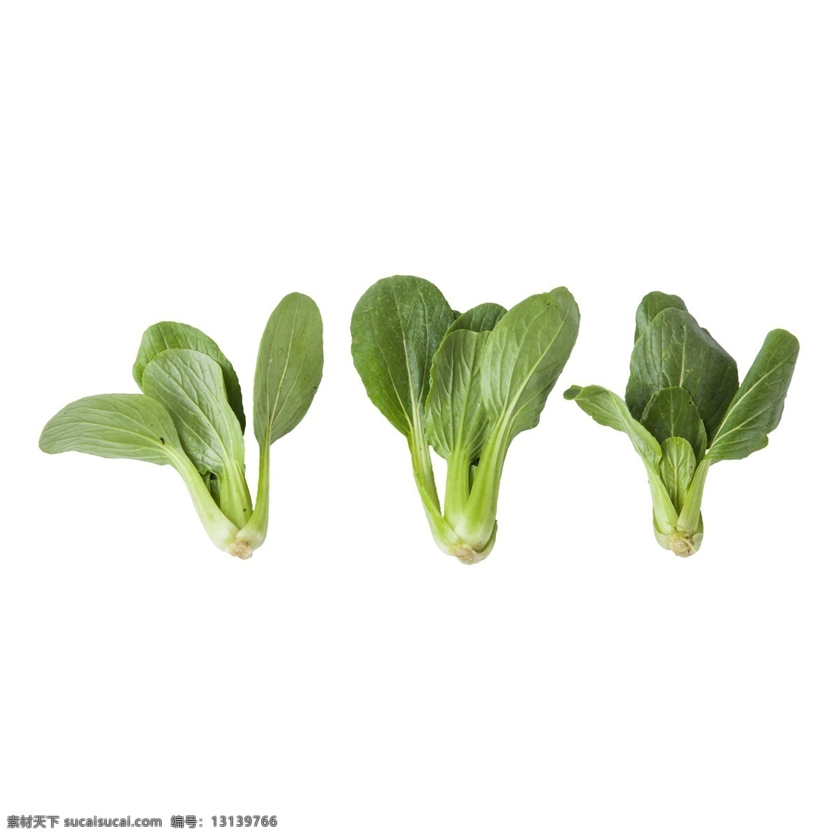 青菜 免 抠 三棵青菜 有营养的青菜 三棵青菜免抠 绿叶菜 小青菜 好吃的蔬菜 蔬菜 绿色食品