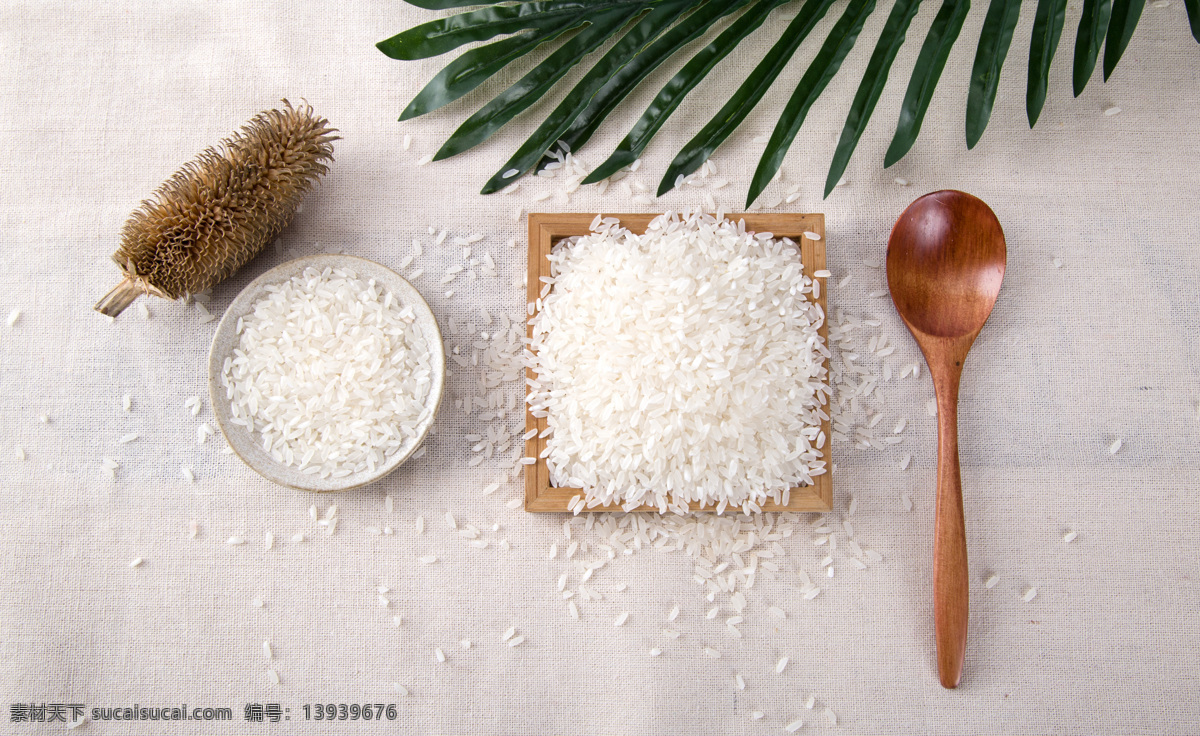 大米 一碗米 一碗大米 米饭 大米粒 有机大米 长粒大米 长粒米 五常大米 东北大米 食品 餐饮美食 食物原料