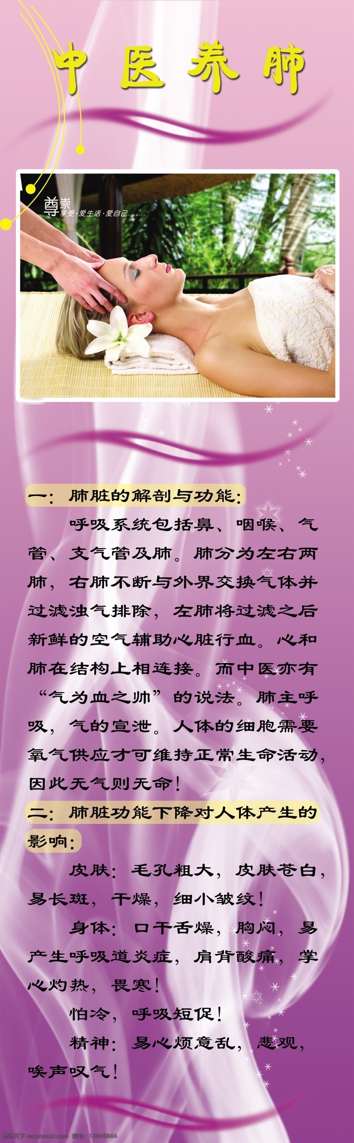 中医养肺 养生素材 美容院 挂壁 展示 画 展板模板 广告设计模板 源文件