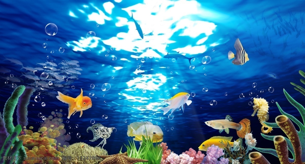 珊瑚 海底 动物 水族馆 小鱼 海水缸 海底世界 海洋生物 海洋世界 珊瑚素材 鱼类海鱼 海洋公园 生物世界 鱼类