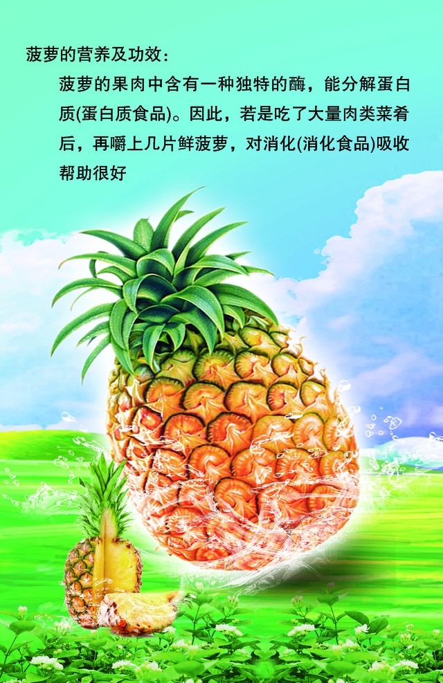 菠萝 草地 色背景 泡泡 蓝天白云 广告设计模板 源文件
