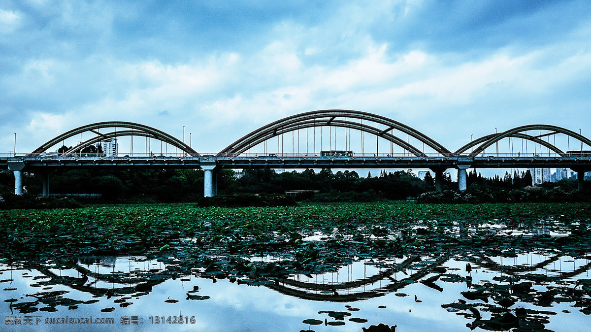 芙蓉桥 洪湖公园 荷花 建筑 桥 自然景观 建筑景观