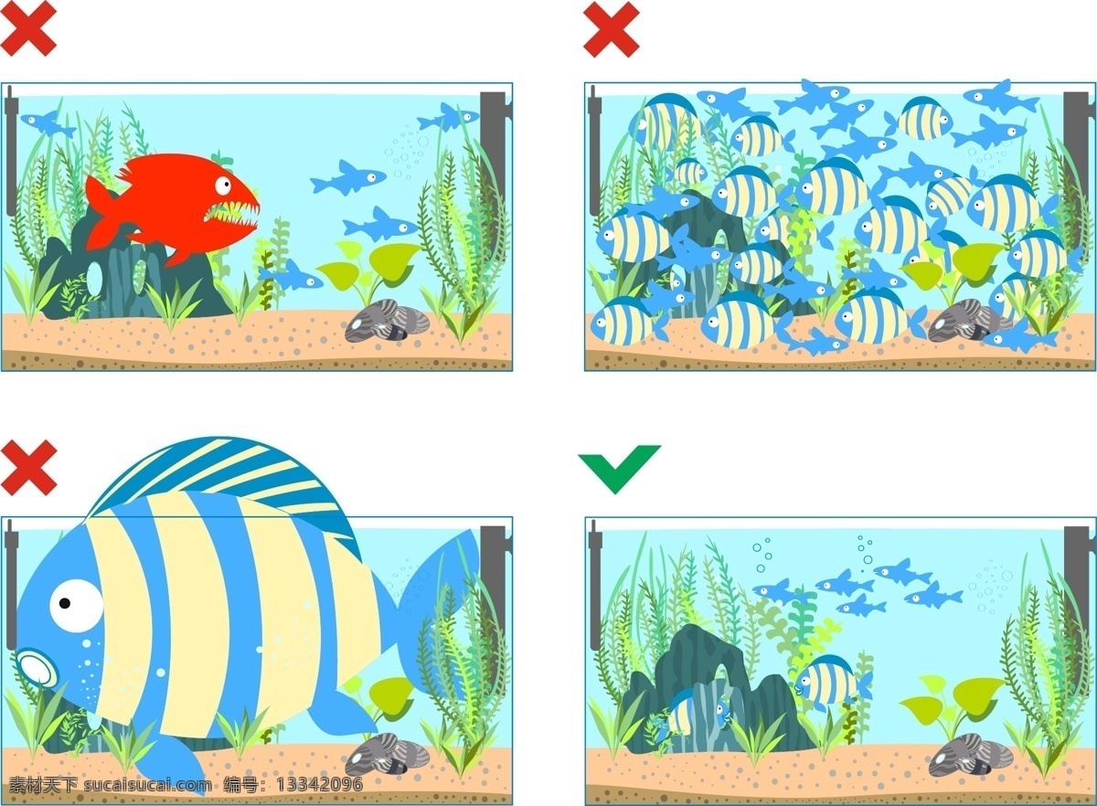 鱼缸选择 鱼缸 水藻 鱼类 矢量鱼 海洋生物 动物 生活百科 矢量素材 白色