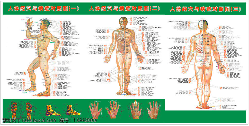 艾灸穴位图 艾灸 理疗 名医 矢量 水墨 穴位 图 模板下载 穴位图 四大名医 针灸 白色