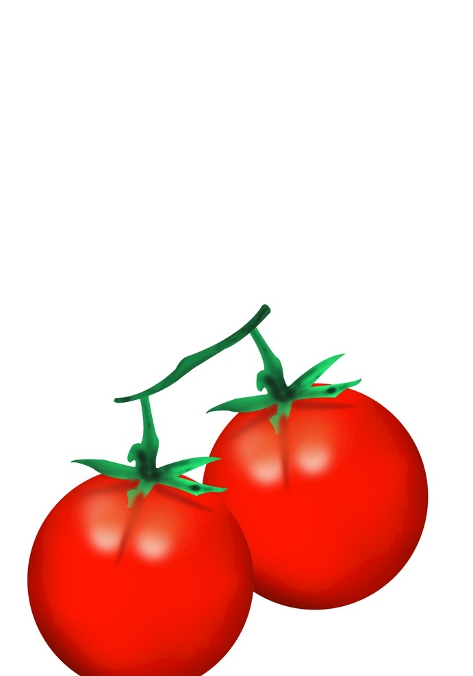 西红柿图片 蔬菜 西红柿 3d设计 3d作品