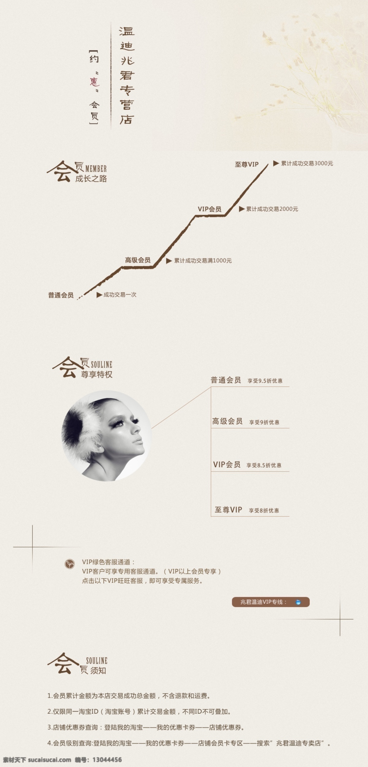 会员特权 会员中心 美女 网页模板 线条 源文件 中文模板 模板下载 天猫须知 淘宝素材 天猫京东素材