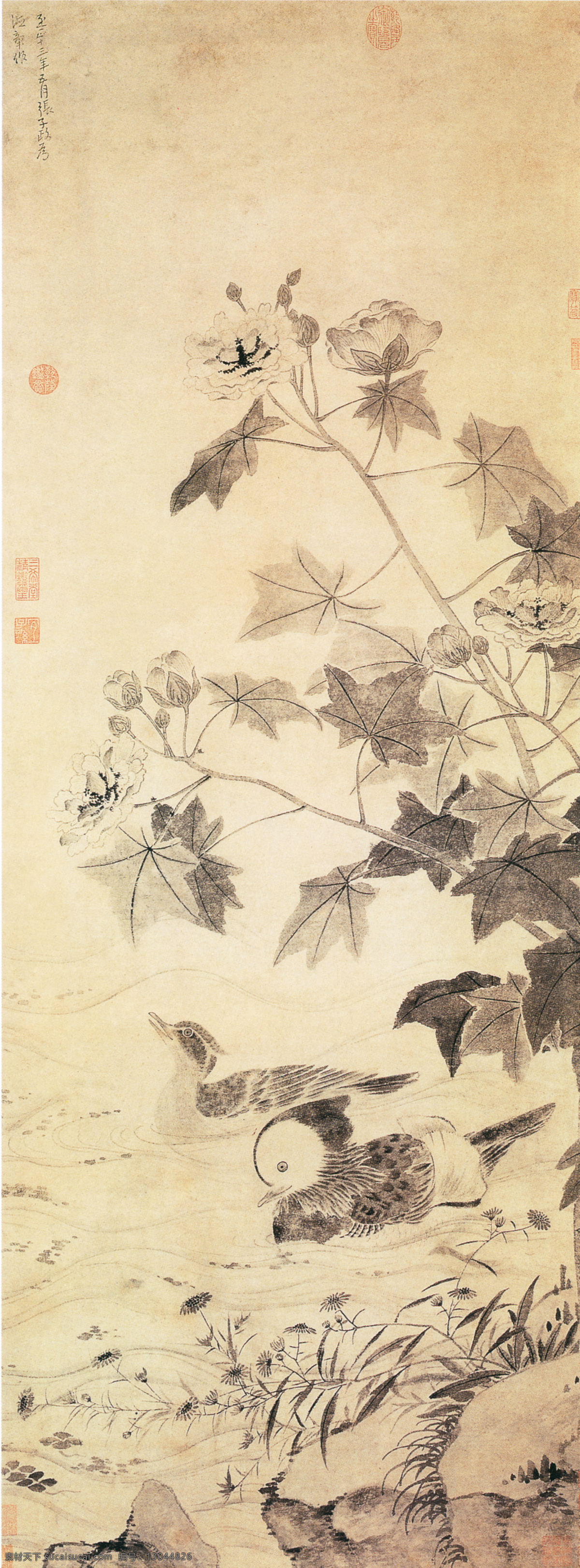 中国 花鸟画 名家 张中 书画 真迹 芙蓉 鸳鸯 图 古画 花朵 花鸟 墨笔 书画真迹 枝头 芙蓉鸳鸯图 中国花鸟画 名家张中 立轴 纸本 秋高气爽 水边 木芙蓉 一对鸳鸯 文化艺术