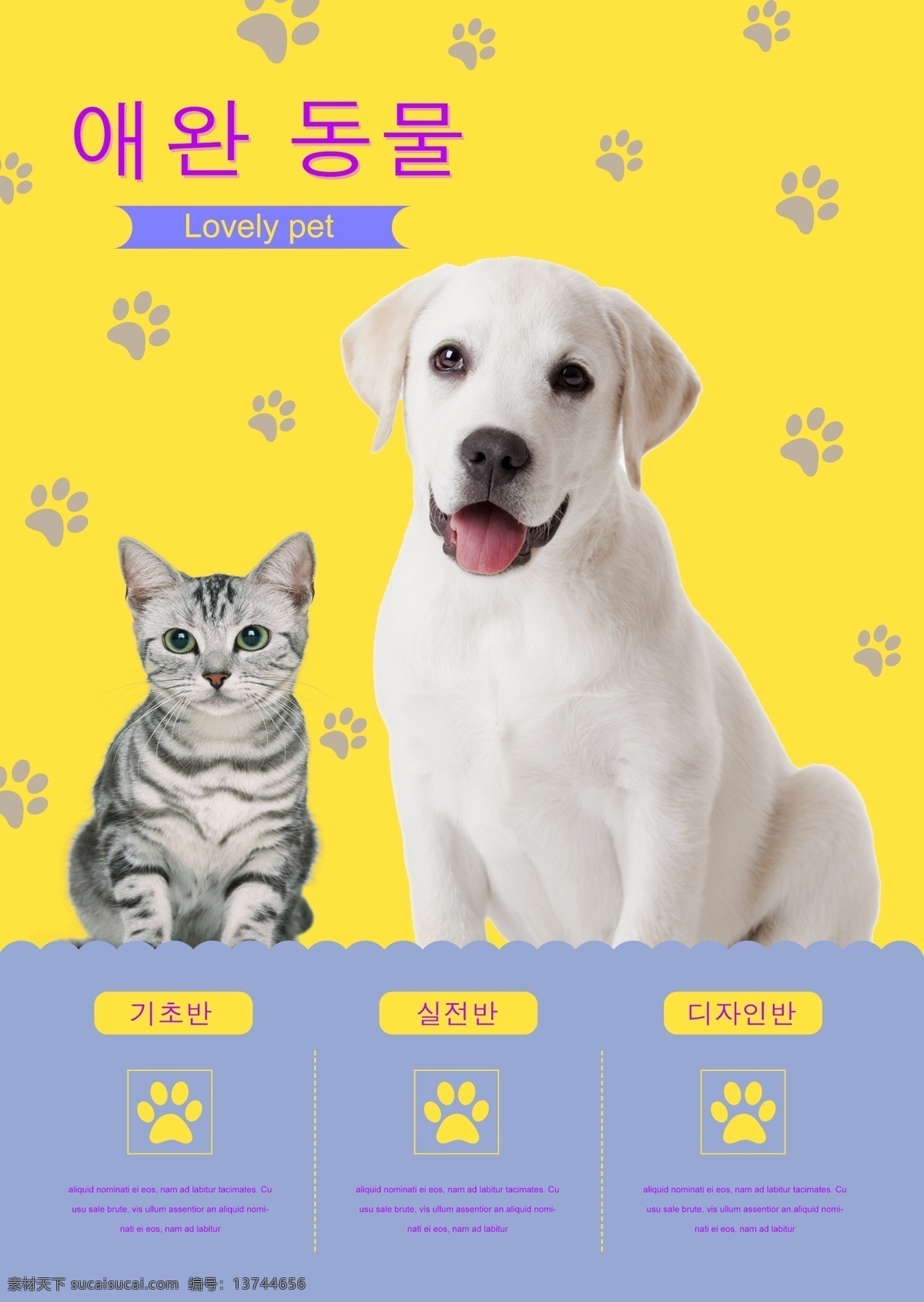 猫 狗 美容 体格 检查 黄色 海报 谈论 关于 溺爱 物理 可爱 美女 关心 宠物 红色 小狗