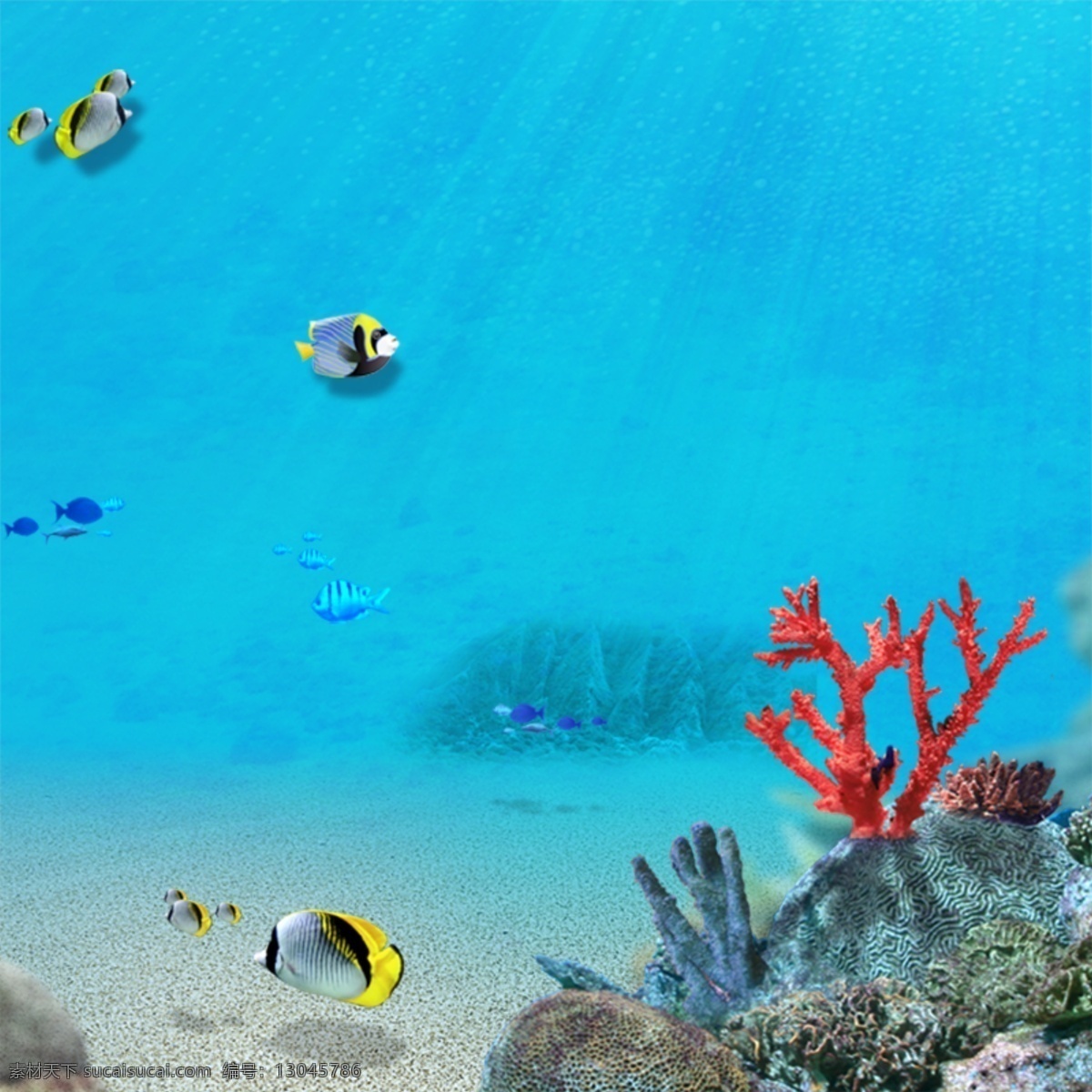 唯美海底背景 海底世界 珊瑚 鱼 蓝色海底 唯美 化妆品背景 青色 天蓝色