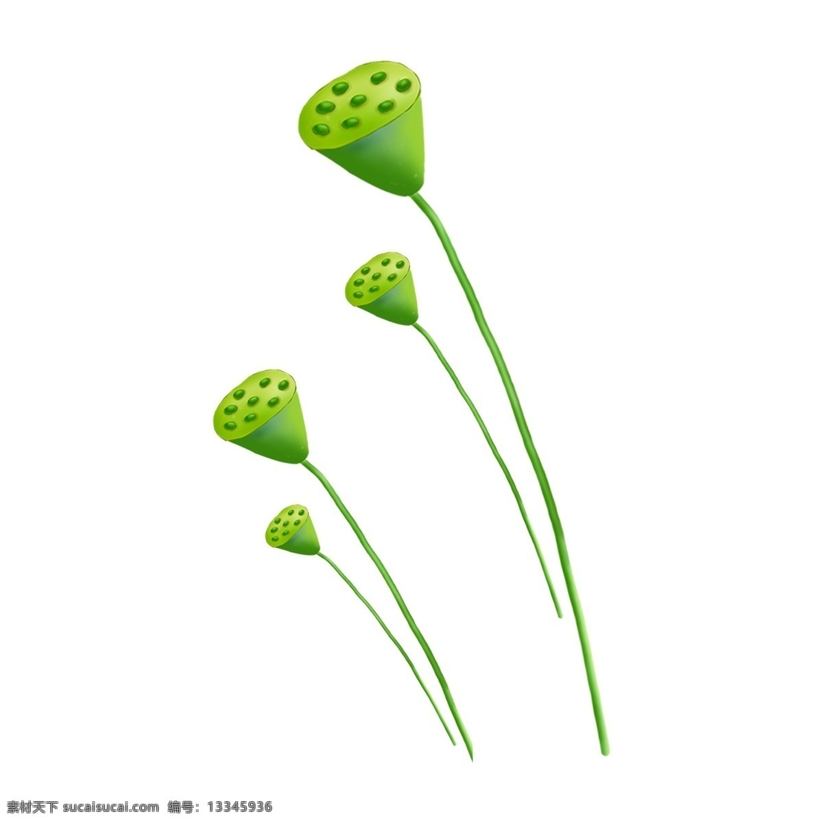 手绘 清新 风 荷花 透明 水彩 免 扣 透明素材 卡通素材 莲蓬