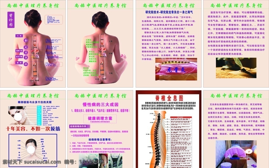 理疗养生 艾灸 背诊图 泥灸 面部拔筋图 穴位图 脊椎全息图 龙骨灸 x展架 海报