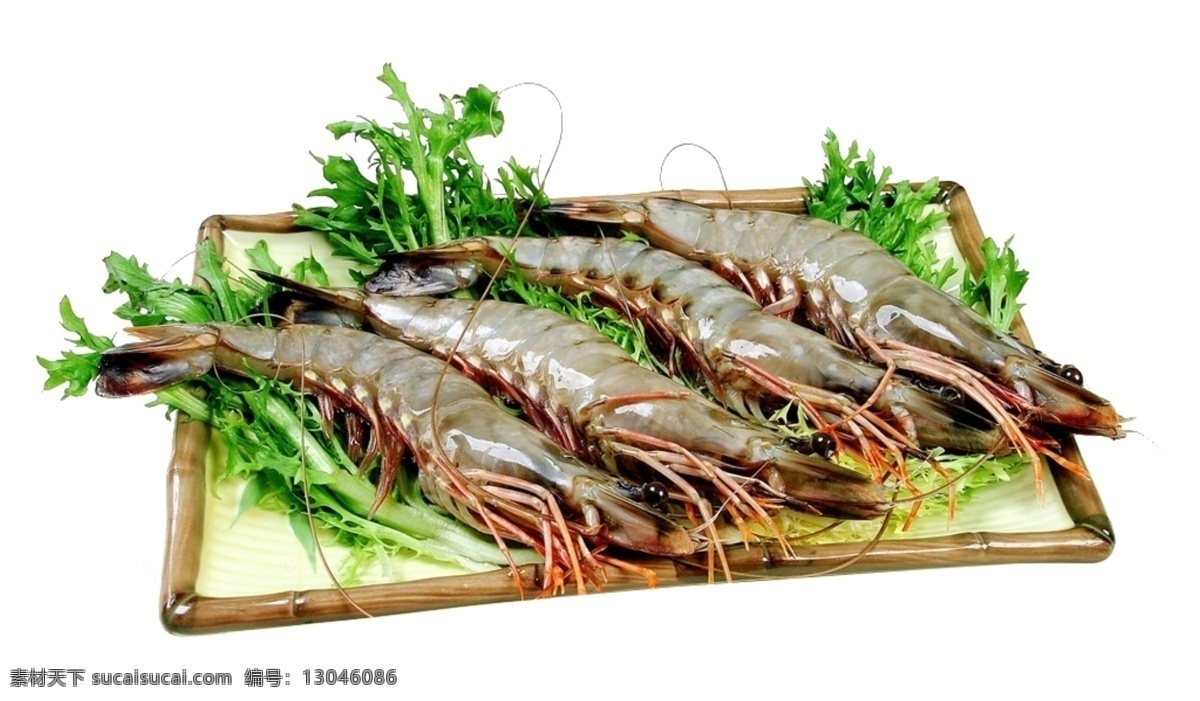 河鲜 动物 植物 河 虾 食物 水产品 绿色 河虾