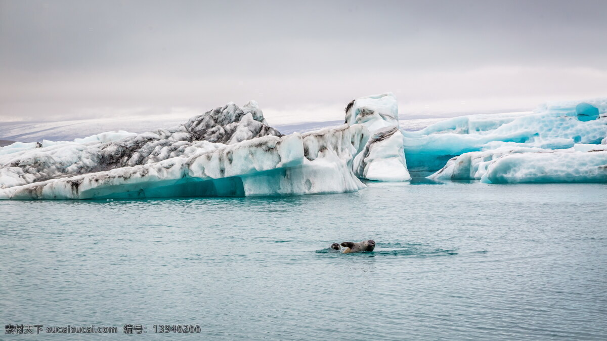 南极 冰山 风景 高清 冰川 冰河 冰流