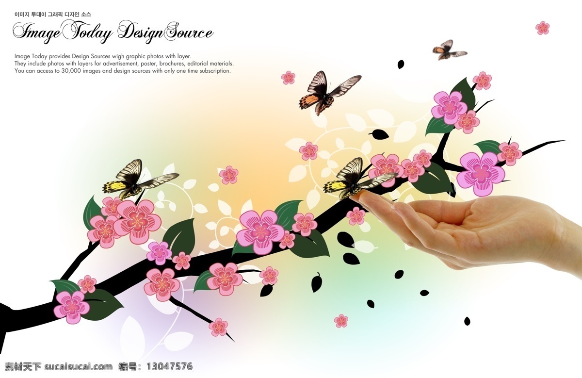 梅花 花纹 背景 背景色 蝴蝶 花 手 矢量 矢量图 花纹花边