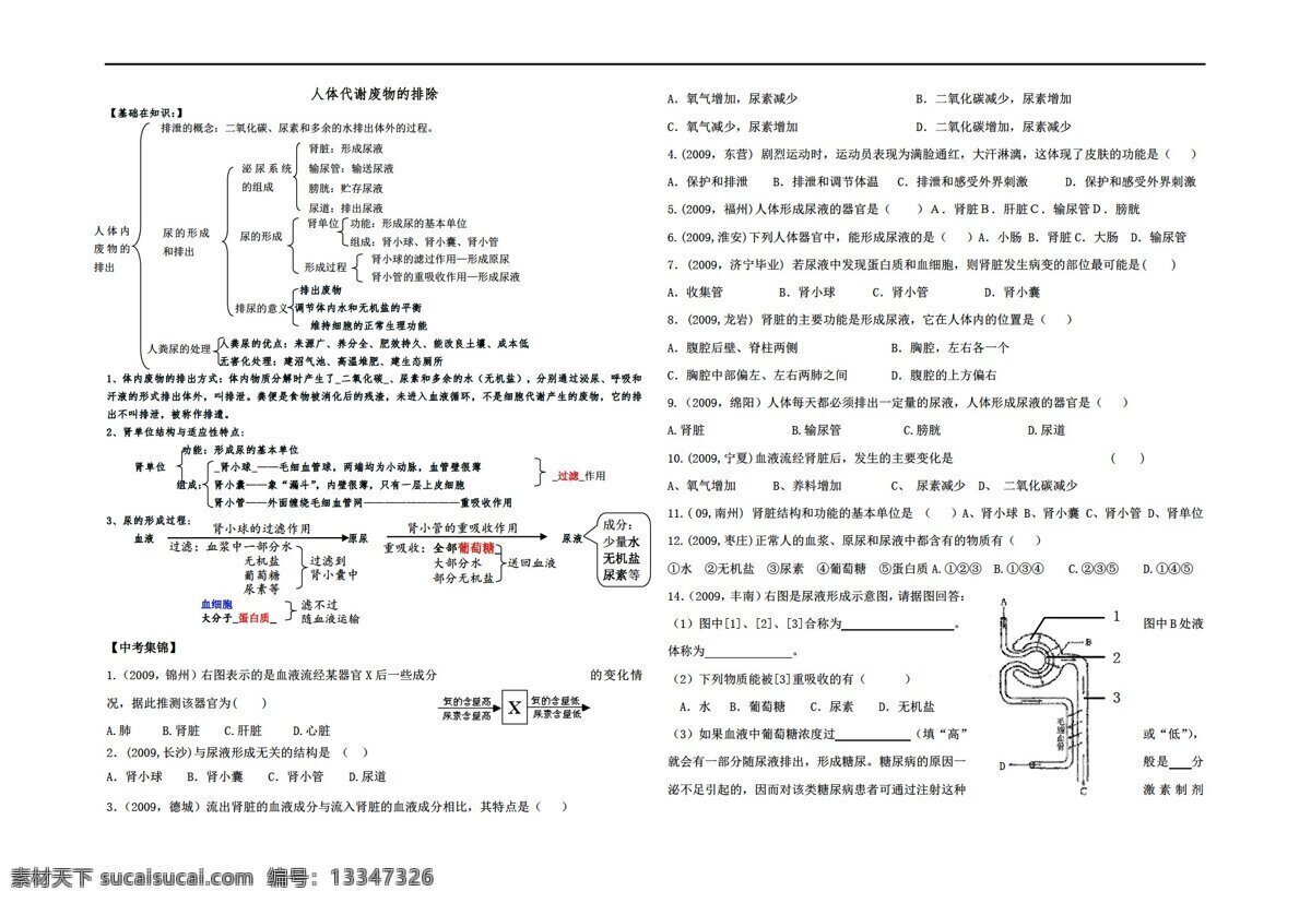 七 年级 下册 生物 人体 代谢 废物 排出 中考 复习 人教版 七年级下册 学案