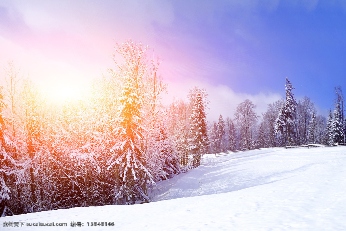 冬季 阳光 森林 自然风光 风景 景区 休闲 旅游 自然风景 自然景观 山水风景 风景图片