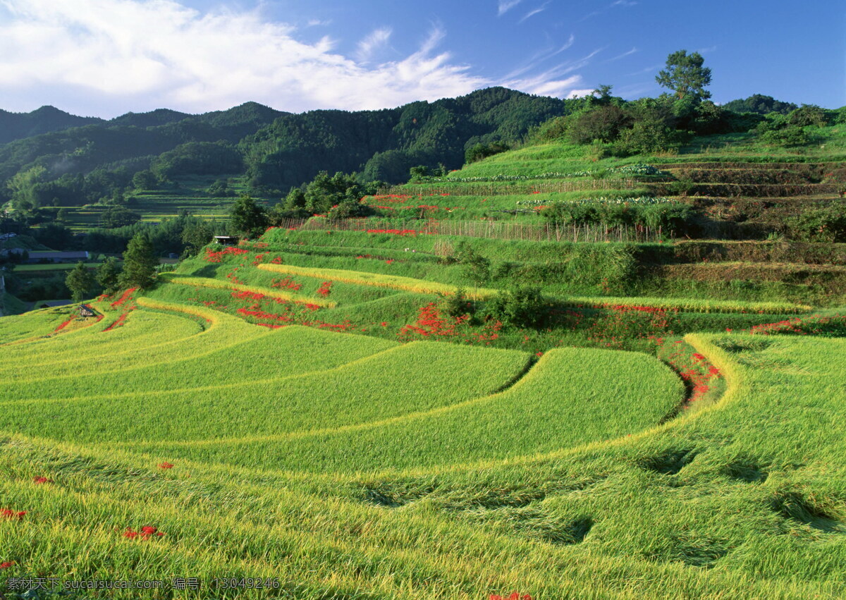 田园风光 背景 风光 风景 摄影图库 天空 田园 自然风景 自然景观 生活 旅游餐饮